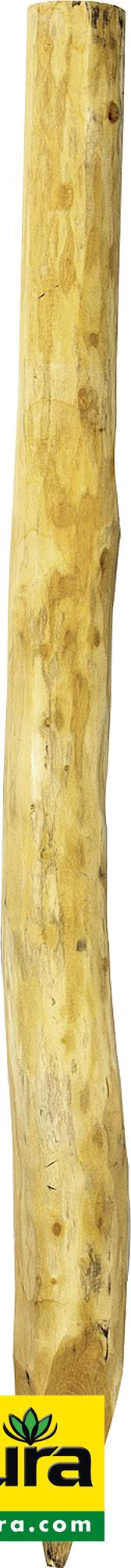 Robinienpfahl, rund, geschliffen, 2500 mm, d=16-18 cm, gefast, gehobelt, 4-fach gespitzt