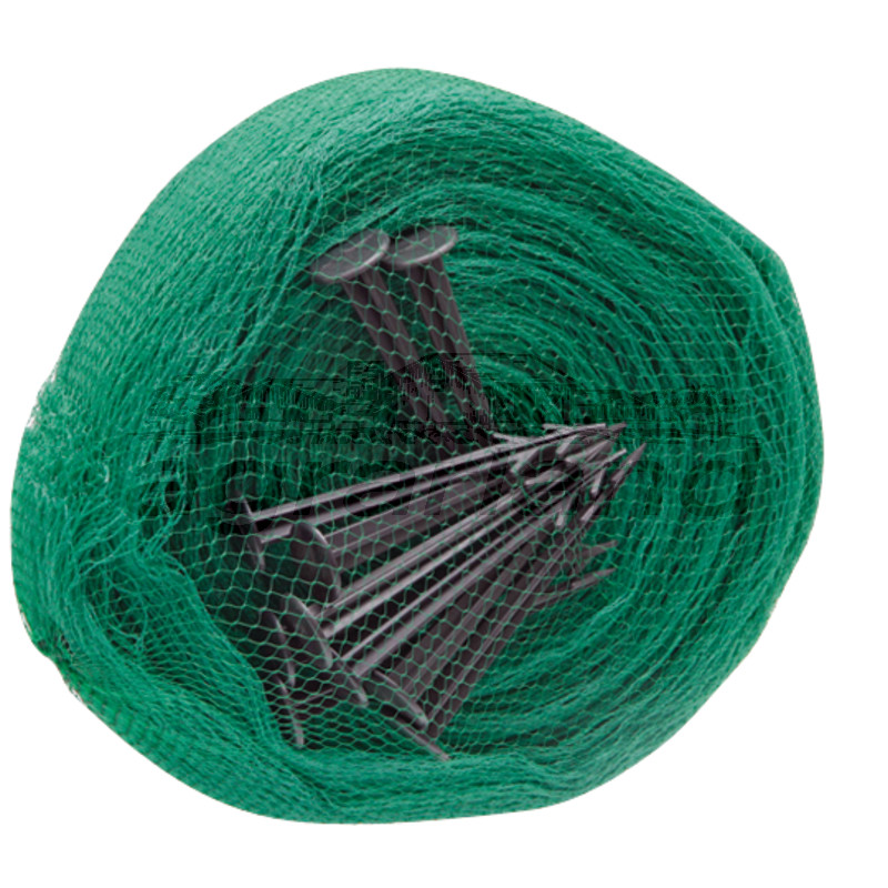 Teichnetz