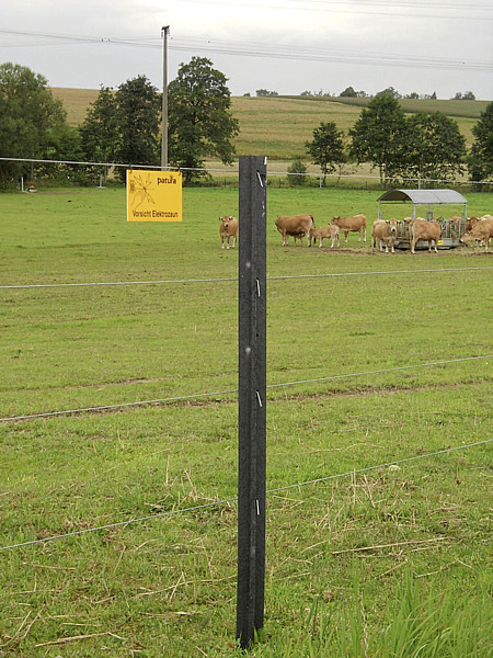 Kunststoff-Pfosten 1,50 m Kreuzprofil, gespitzt