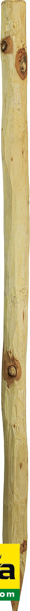 Robinienpfahl, rund, 1,5 m, d= 6-8 cm, gefast, 4-fach gespitzt, entrindet
